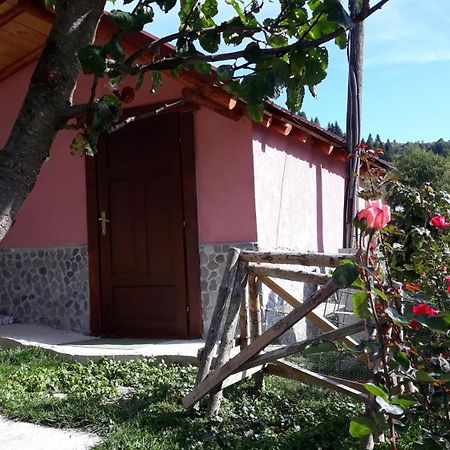 Villa Vrbena المظهر الخارجي الصورة