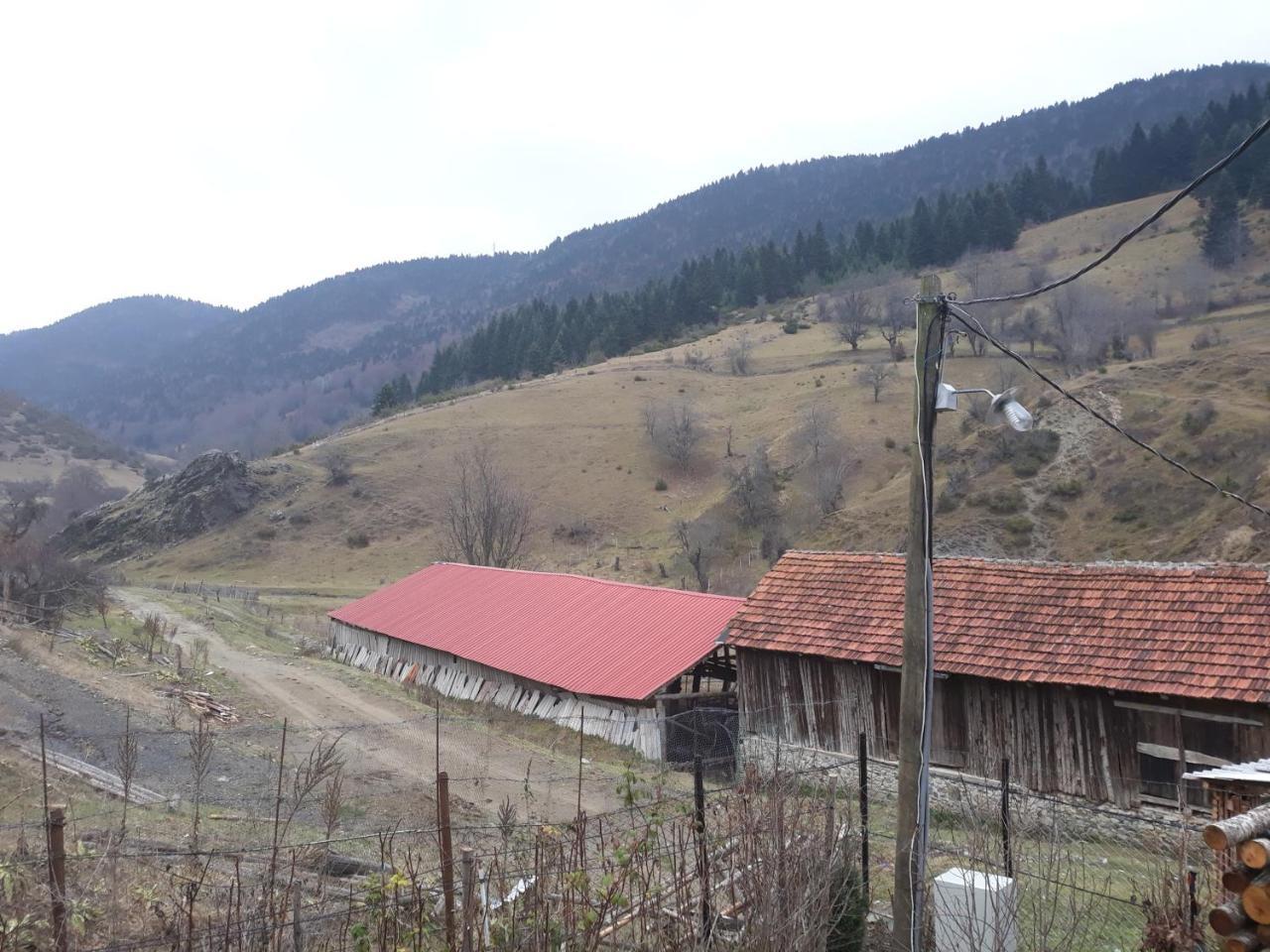 Villa Vrbena المظهر الخارجي الصورة