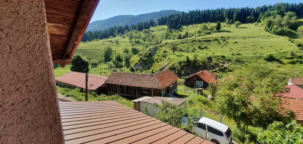Villa Vrbena المظهر الخارجي الصورة